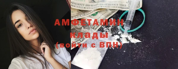 прущие грибы Алзамай