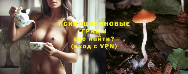 гидра Абаза