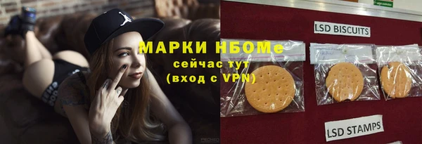 гидра Абаза