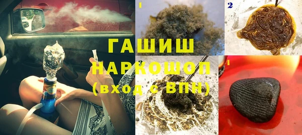 гидра Абаза