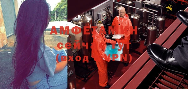 гидра Абаза